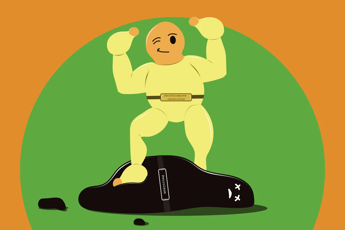 Levadura utilizada como alternativa biotecnológica al petróleo