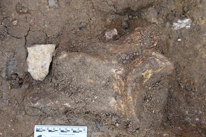 Descubren en Kenia la evidencia más antigua de transporte de rocas para tallar herramientas