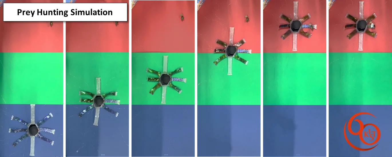 Crean un robot blando capaz de cambiar de color, moverse y agarrar objetos como un pulpo