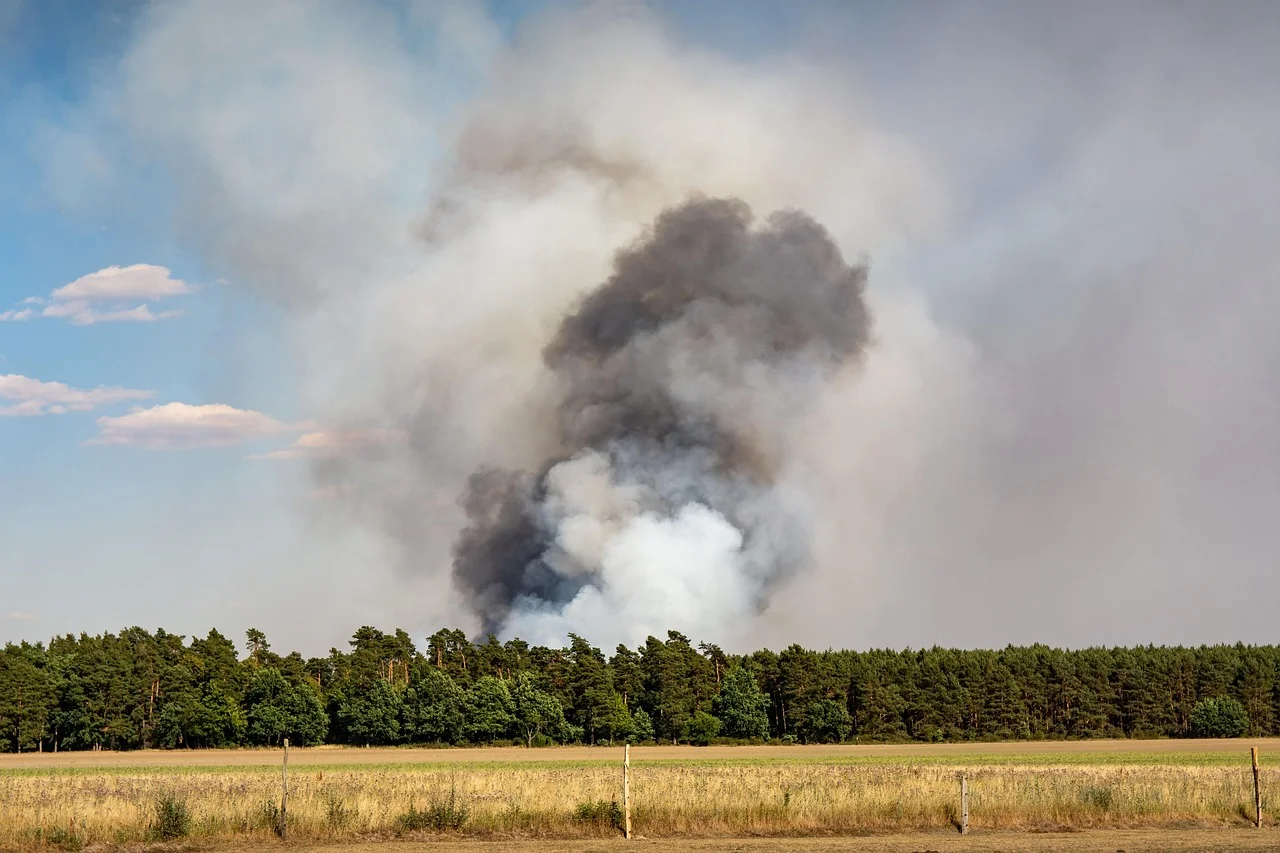 Incendios forestales en Europa: ola de calor y fuertes vientos dejan muertos y miles de evacuados