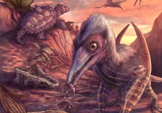 Un fósil de 209 millones de años revela el pterosaurio más antiguo conocido del Triásico tardío