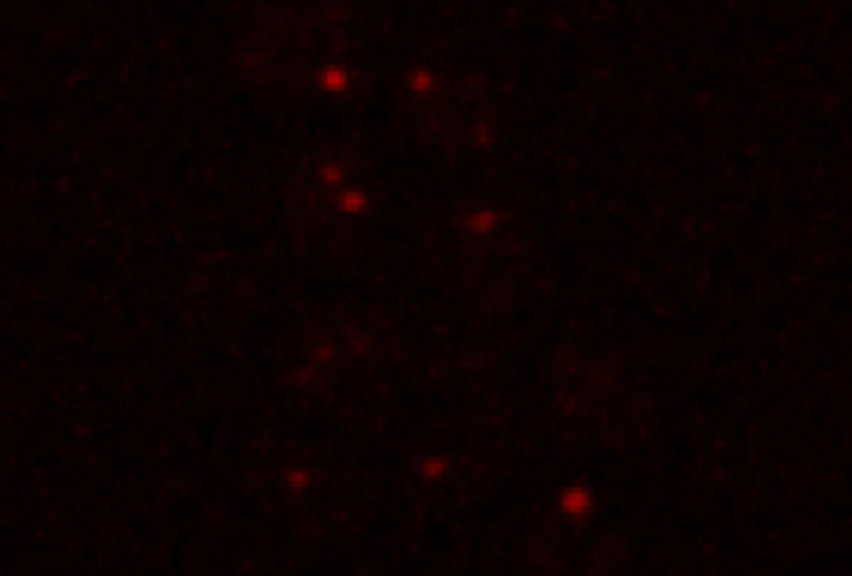 Un experimento demuestra que la vida podría resistir las duras condiciones de Marte
