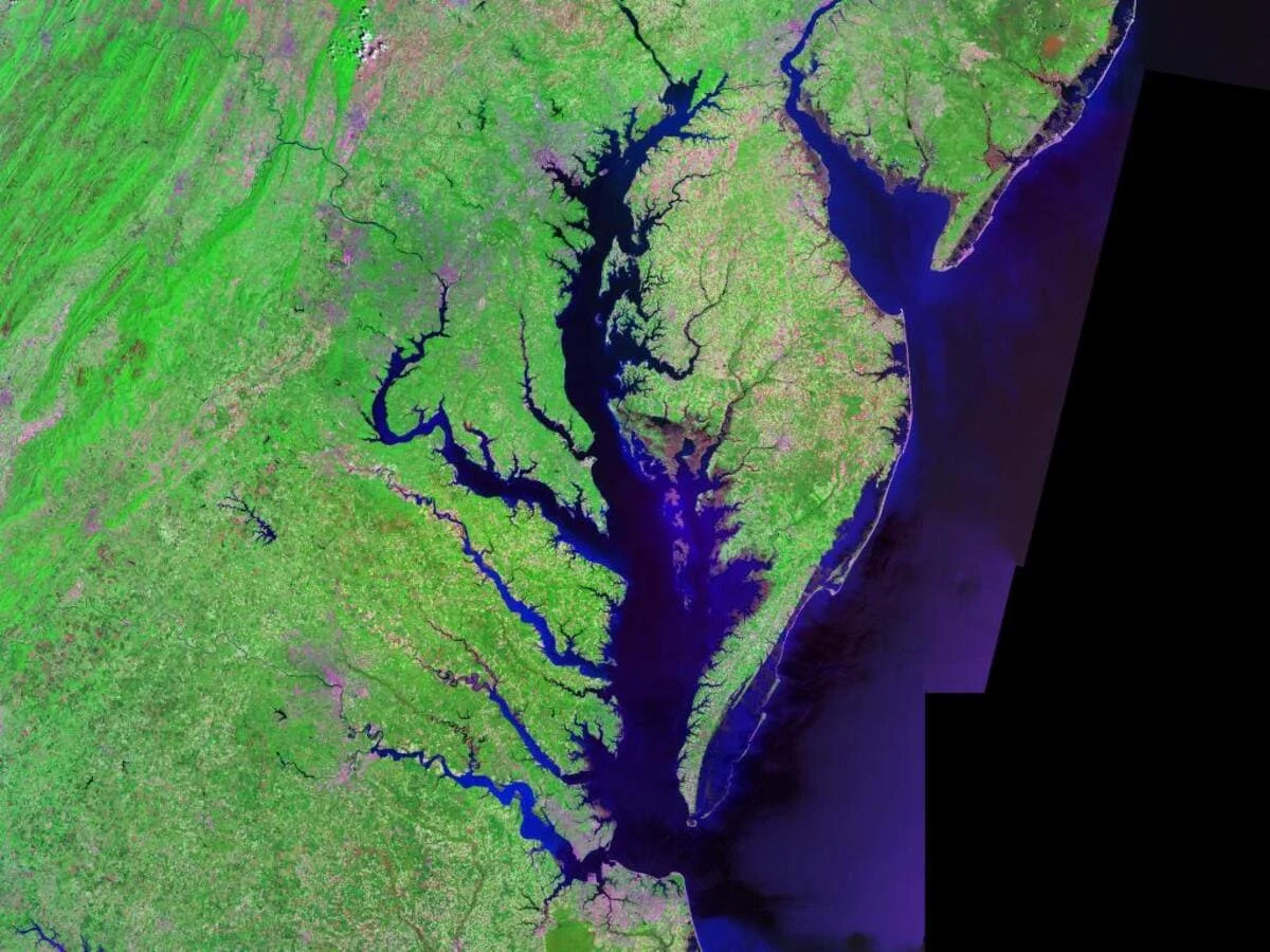 Satélites revelan desigualdad en el aumento de olas de calor marinas en la bahía de Chesapeake