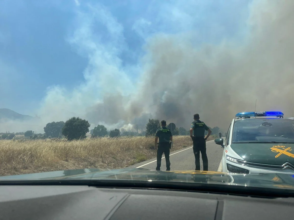 Por qué España vive una crisis de incendios forestales sin precedentes