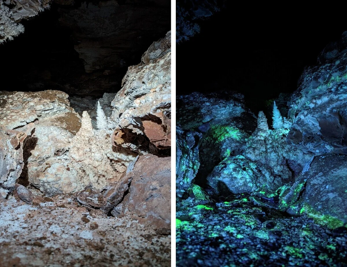 La fluorescencia de las cuevas podría explicar la persistencia de la vida en el espacio