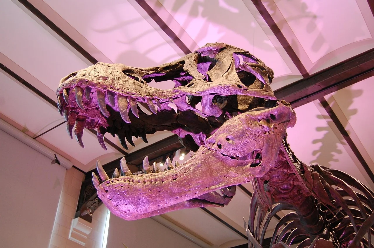 El secreto del T. rex: mordidas devastadoras frente a rivales que cortaban y desgarraban carne