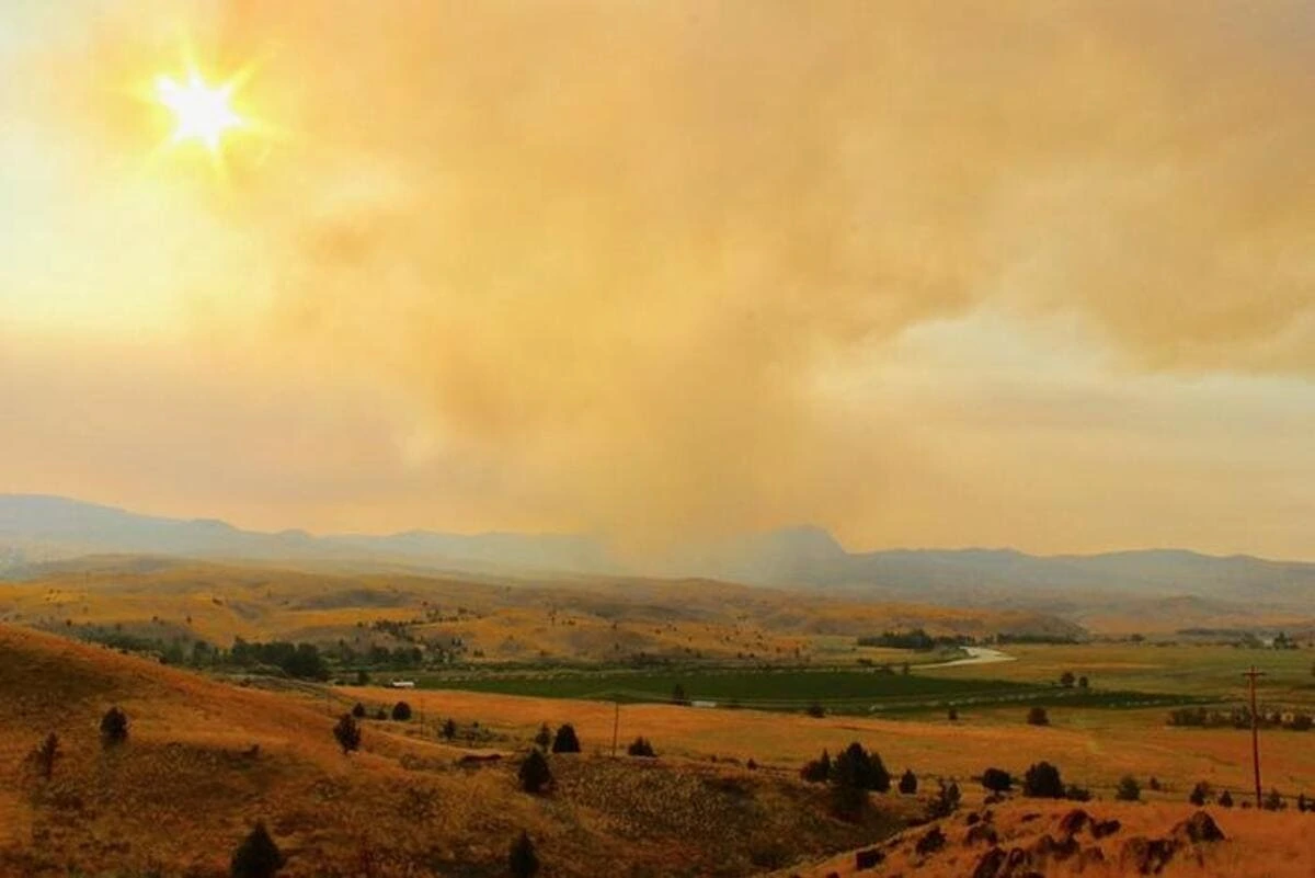 El cambio climático agrava la mortalidad y el costo económico del humo por incendios forestales en EE. UU.
