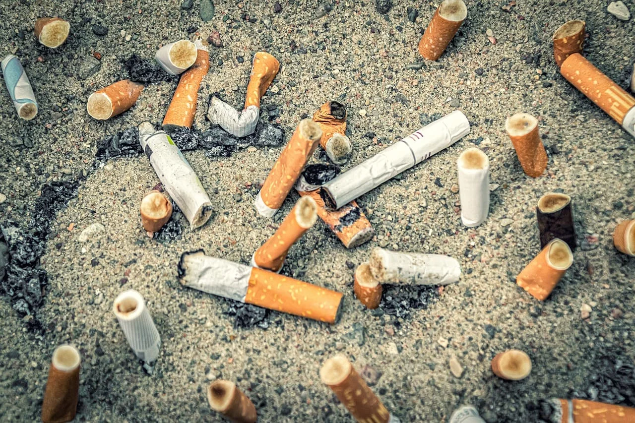 Campañas de reciclaje de colillas: así luchan ciudades y ONGs contra la contaminación