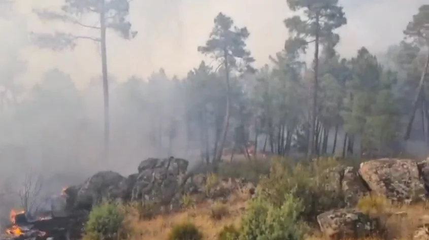 Incendio en San Bartolomé de Pinares (Ávila) obliga a cortar el tren Ávila-Madrid y evacuar barrios en Las Navas del Marqués