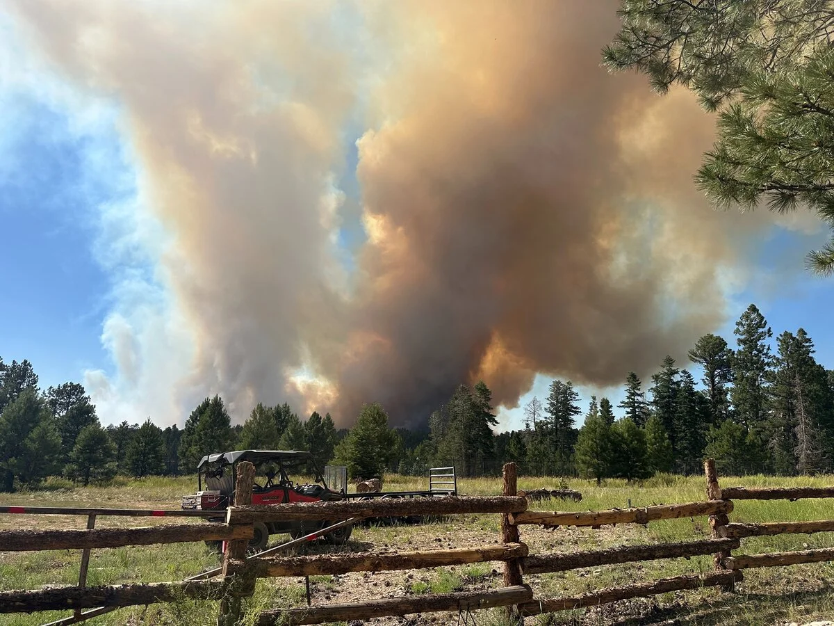 Temperaturas extremas y vientos racheados alimentan el incendio forestal de 8.000 hectáreas cerca del Gran Cañón