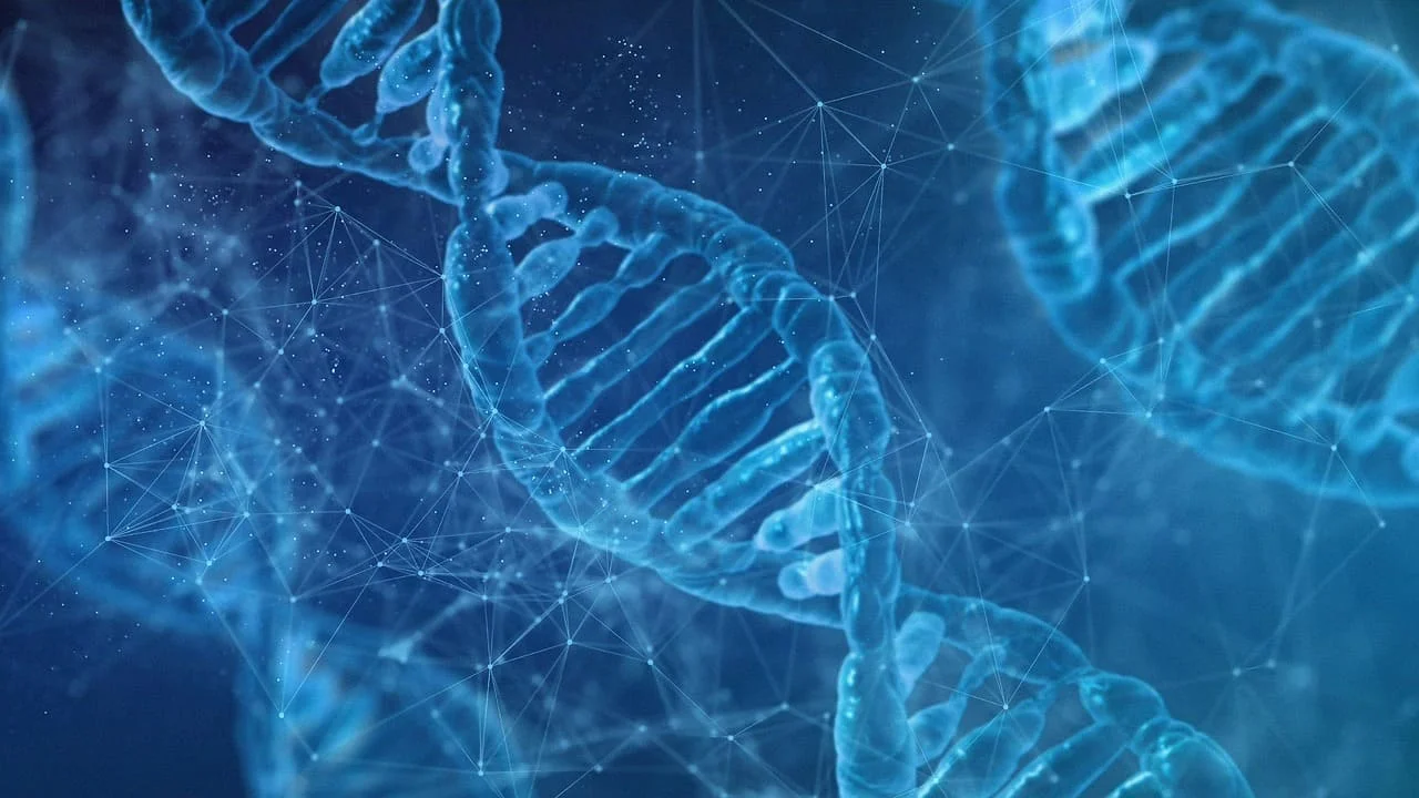 Un estudio genético desvela nuevos detalles en la evolución humana