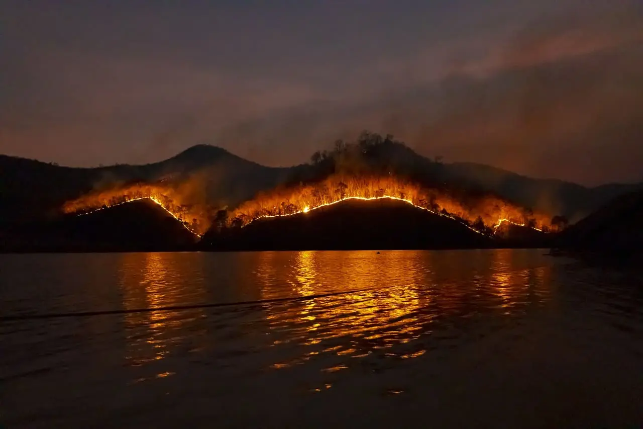 El humo de incendios en zonas urbanas y forestales es más letal que en áreas remotas