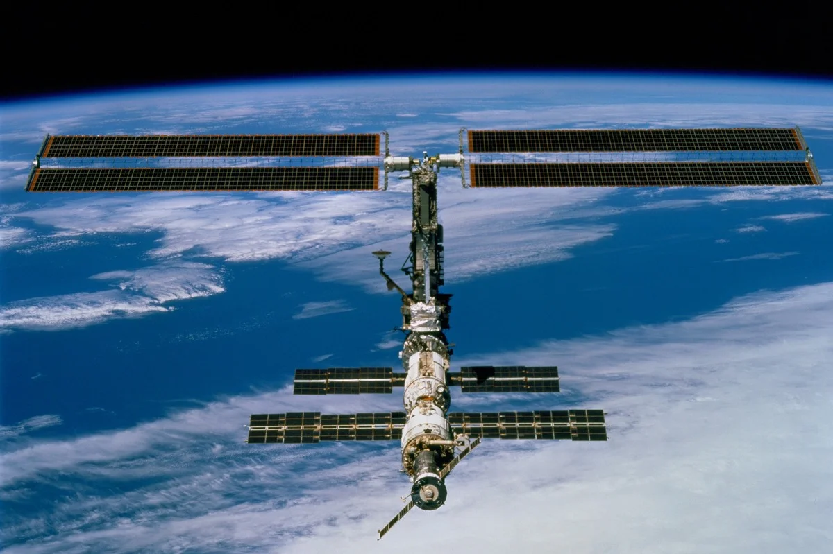 A bordo de la ISS, fagos y bacterias coevolucionan de forma distinta bajo microgravedad