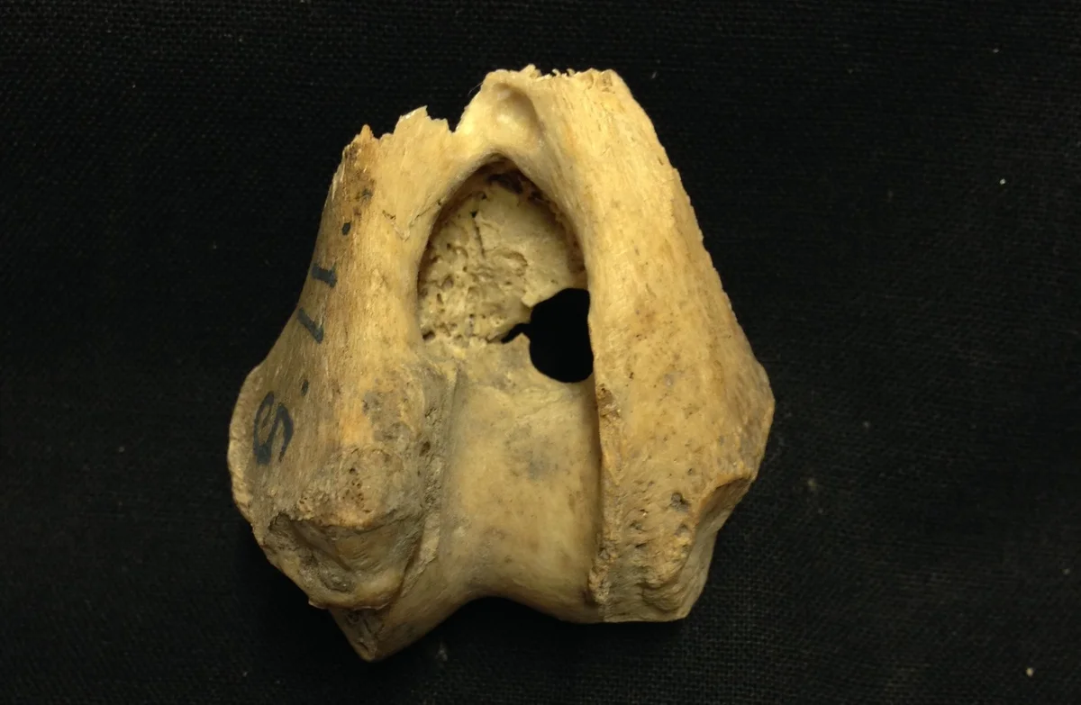 Vista desde la cueva Stora Förvar en Stora Karlsö, Suecia