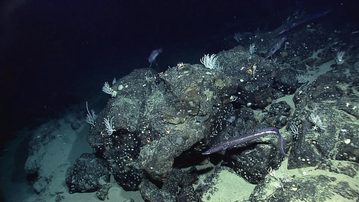 Satélites de última generación mapean el fondo marino con precisión sin precedentes