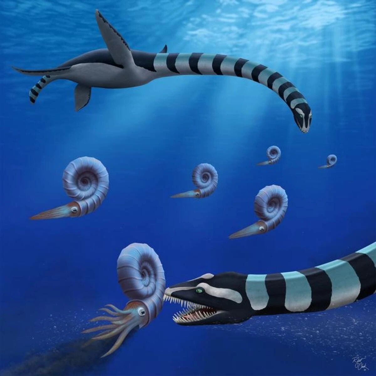 Un extraño elasmosaurio del Cretácico tardío es reconocido como el fósil de Columbia Británica
