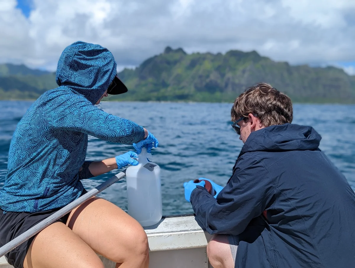 Descubren cómo se diversifican las bacterias dominantes del océano global