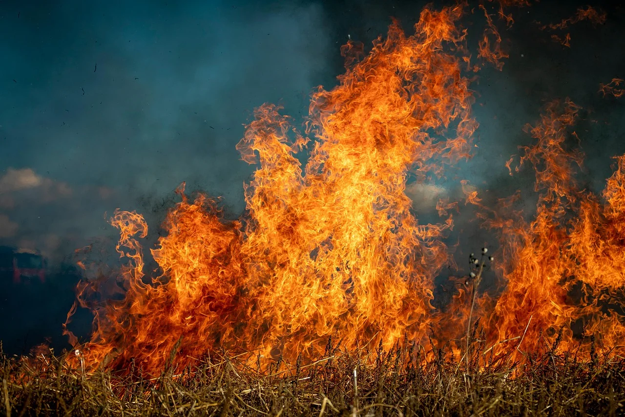 Estudio demuestra que las quemas controladas pueden disminuir los daños y la contaminación por incendios forestales
