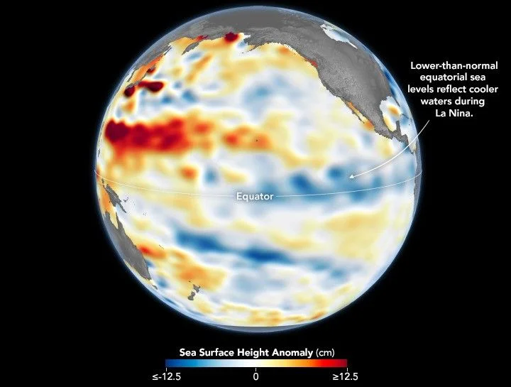 Mapa satelital del Pacífico ecuatorial que muestra anomalías del nivel del mar asociadas al regreso de La Niña en diciembre de 2025