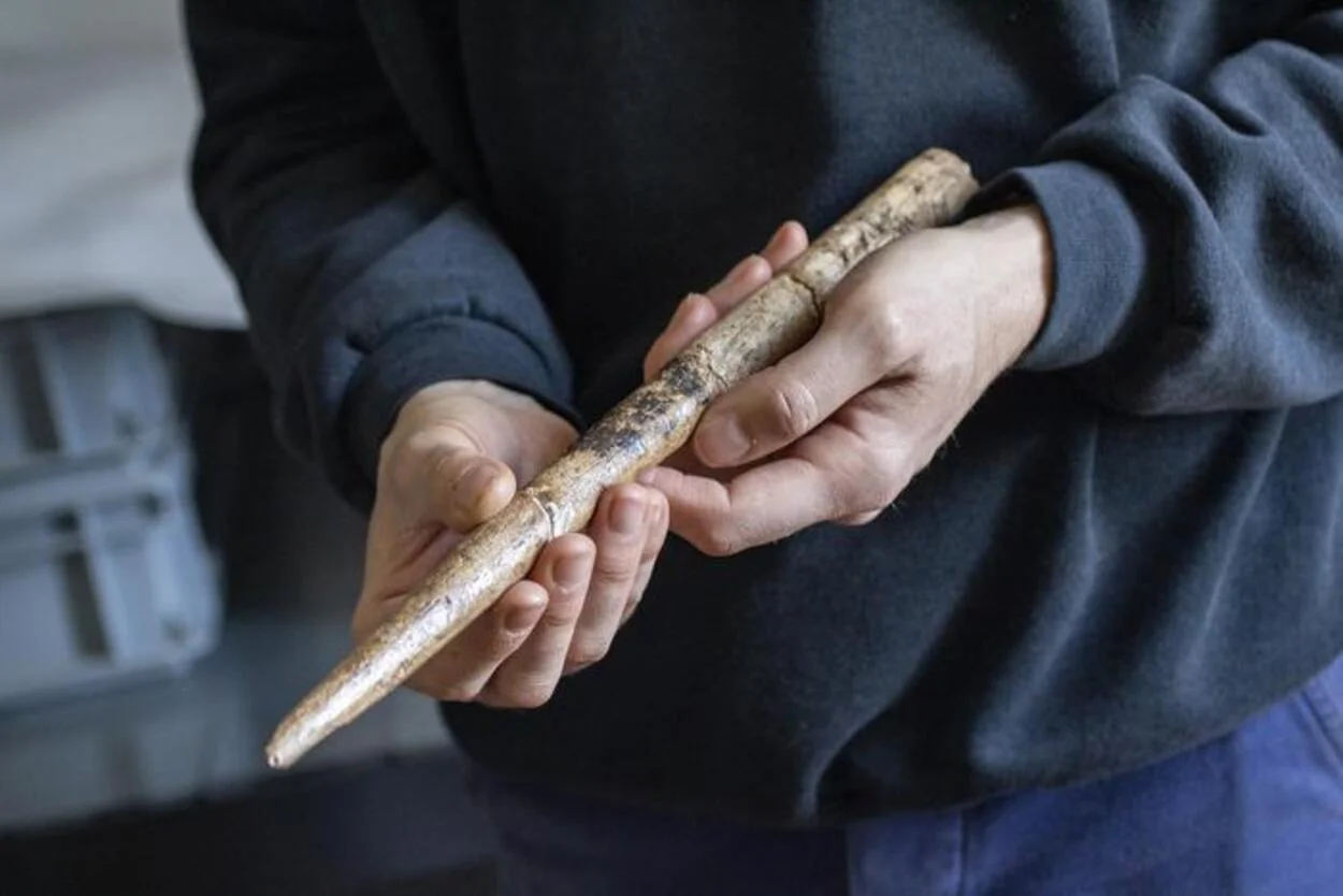 Descubren herramientas humanas hechas con huesos de ballena de hace 20.000 años