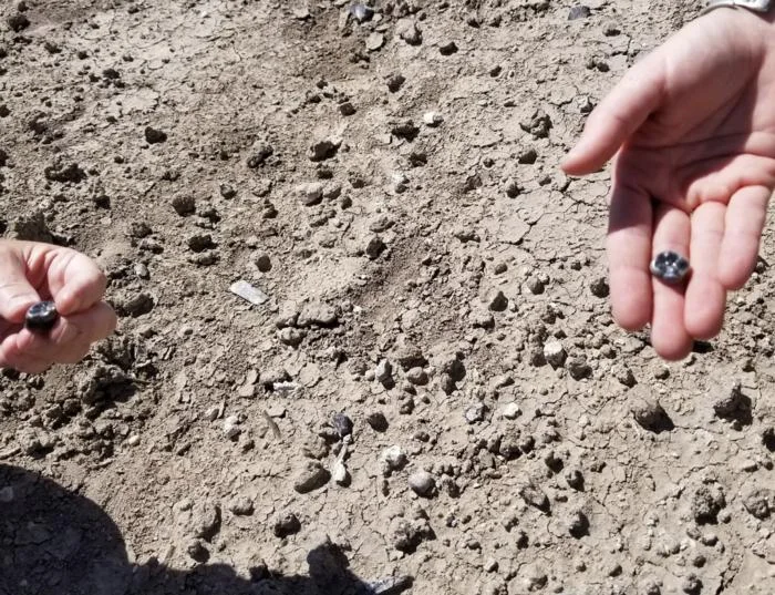 Hallan fósiles que revelan la coexistencia de dos ramas tempranas del linaje humano