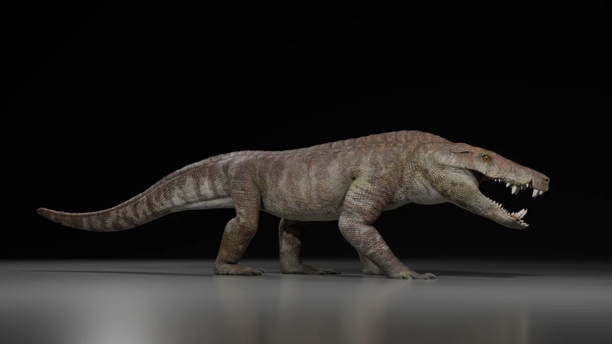 Kostensuchus atrox: el cocodrilo carnívoro que dominó la Patagonia hace 70 millones de años