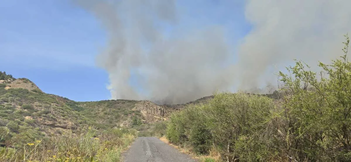 Tenerife logra controlar el incendio forestal tras una jornada de emergencia
