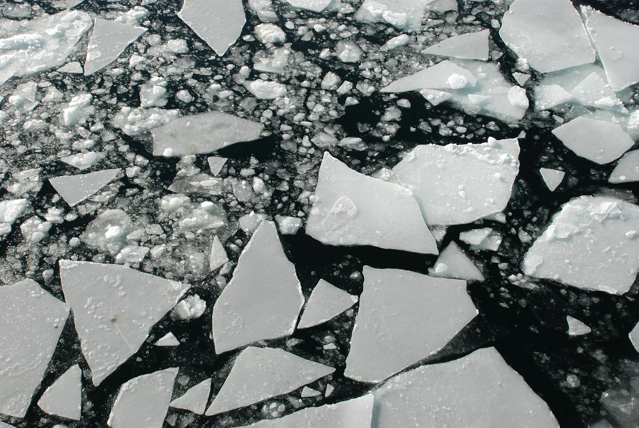 Fragmentos de hielo flotando sobre el océano Ártico