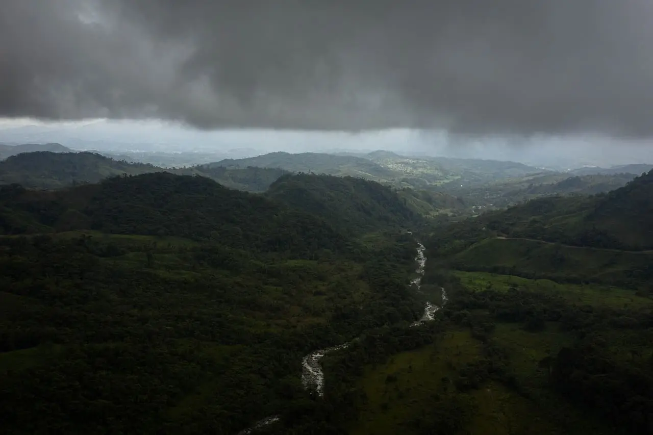 La Amazonía no es el pulmón del planeta pero su importancia es innegable.