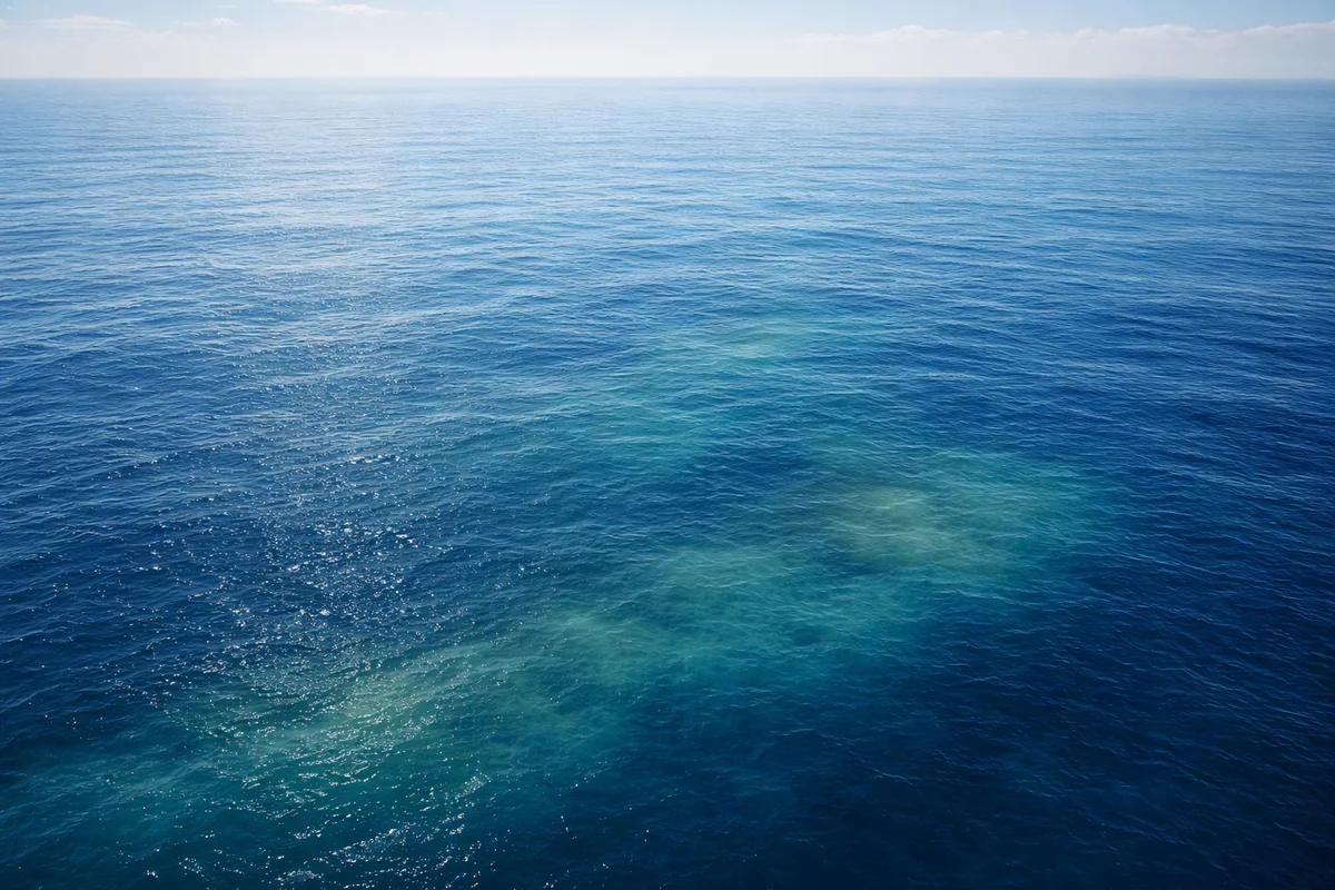 Las temperaturas oceánicas volvieron a marcar un récord en 2025