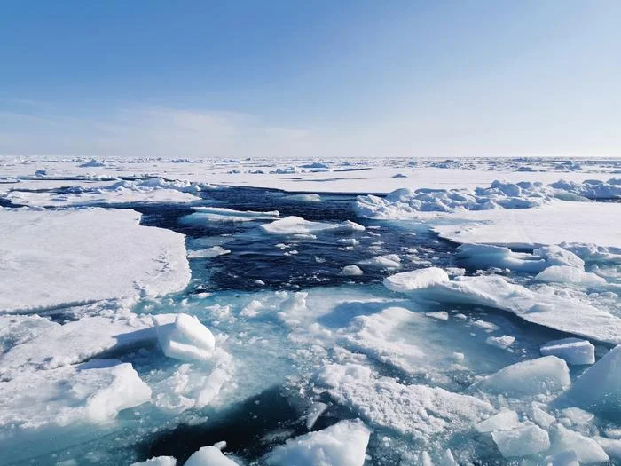 Científicos confirman que el hielo marino estacional predominó en el Ártico los últimos 750.000 años