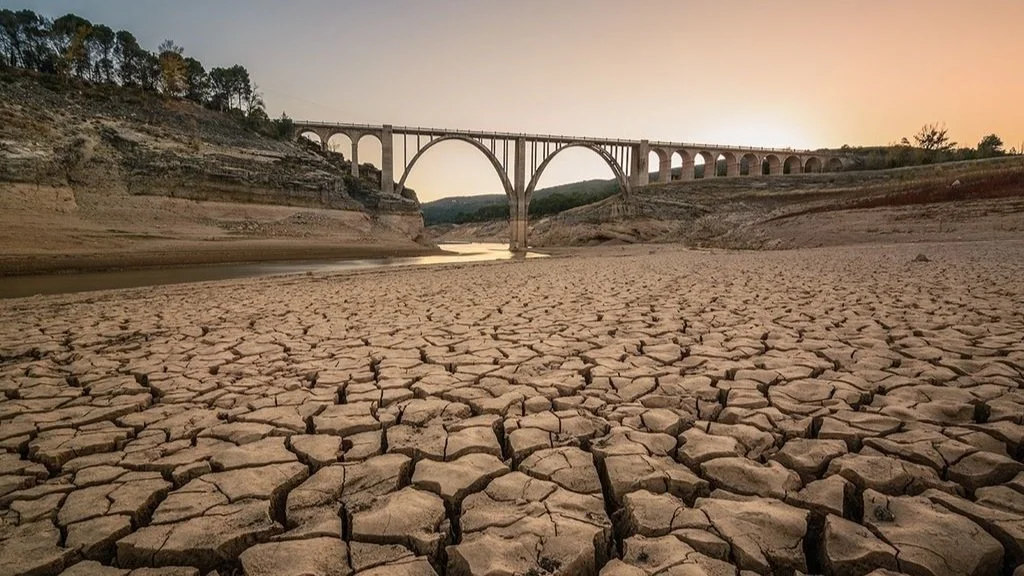 El nuevo informe global revela la mayor crisis de sequía y sufrimiento humano en décadas