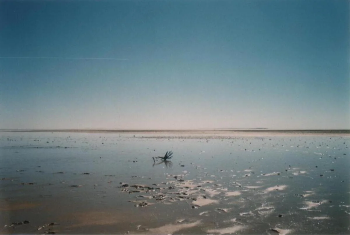 El lago más grande de Australia Kati Thanda-Lake Eyre vuelve a llenarse tras años de sequía
