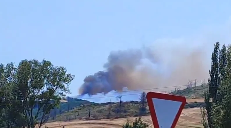 Incendio en Navarra obliga al desalojo de animales y activa el nivel dos de emergencia forestal