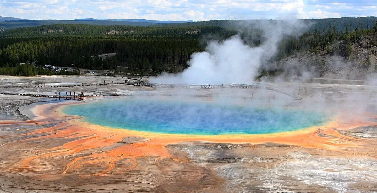 El ARN pudo haber iniciado la producción de proteínas en la Tierra primitiva, según la UCL