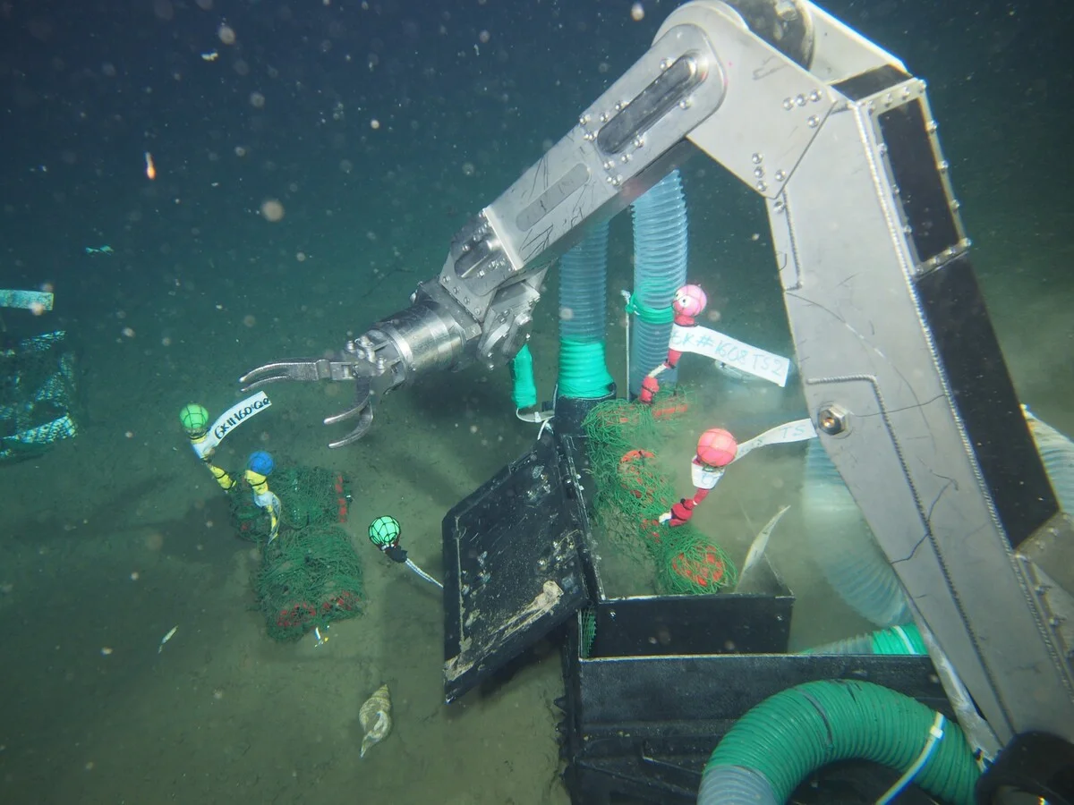 Bioplástico japonés se degrada en aguas profundas y podría frenar la contaminación marina